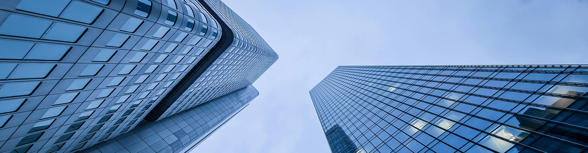 Company Profile
